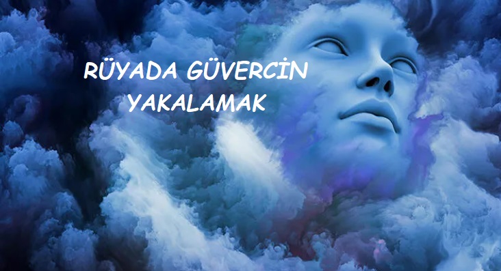 Rüyada Güvercin Yakalamak